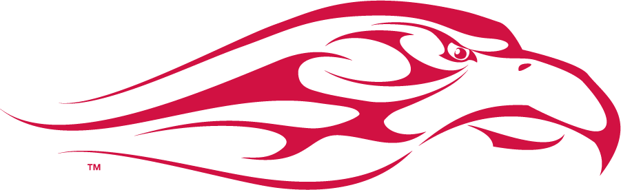 Liberty Flames 2003-2013 Secondary Logo DIY iron on transfer (heat transfer)